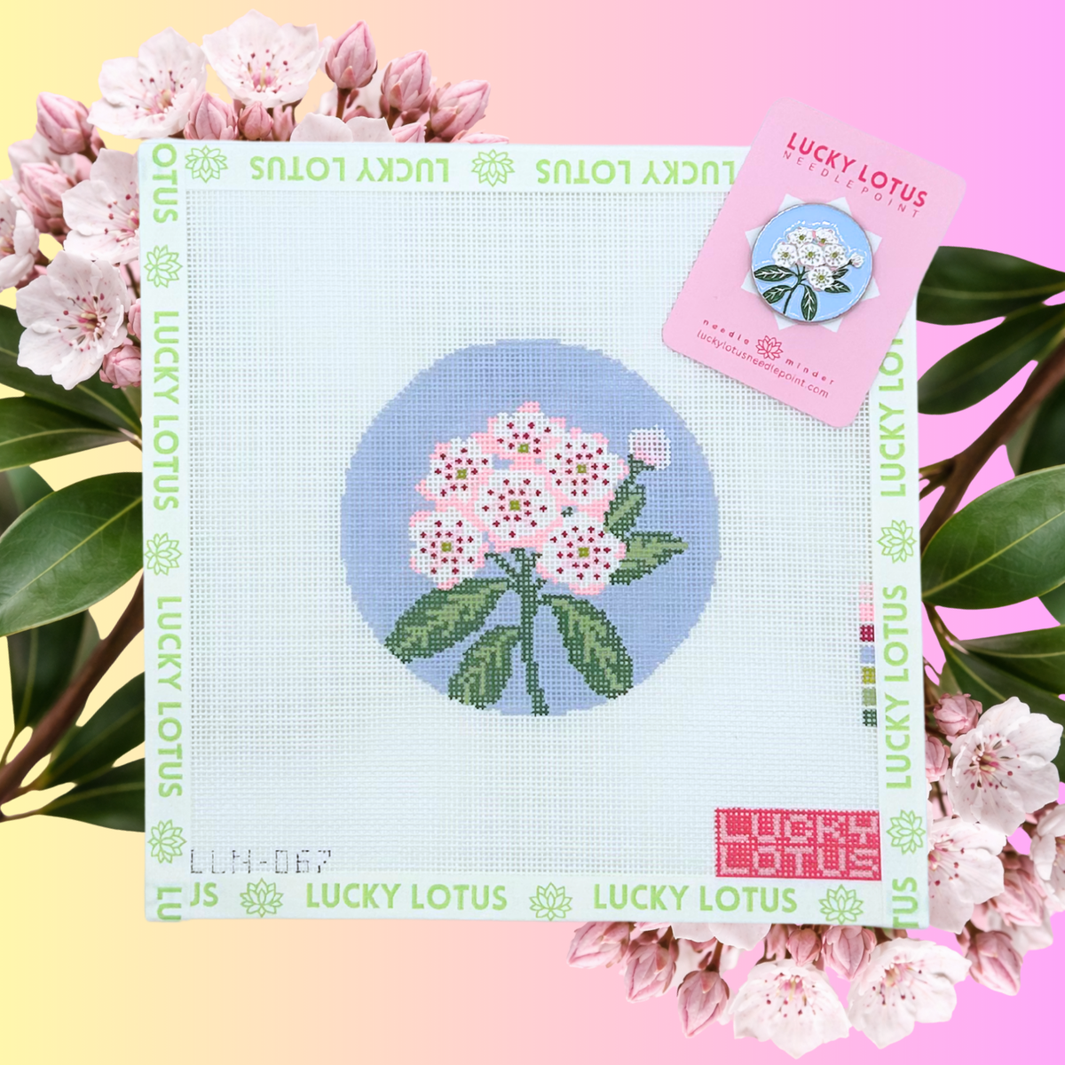 Mountain Laurel (Connecticut & Pennsylvania) | Flowers of America