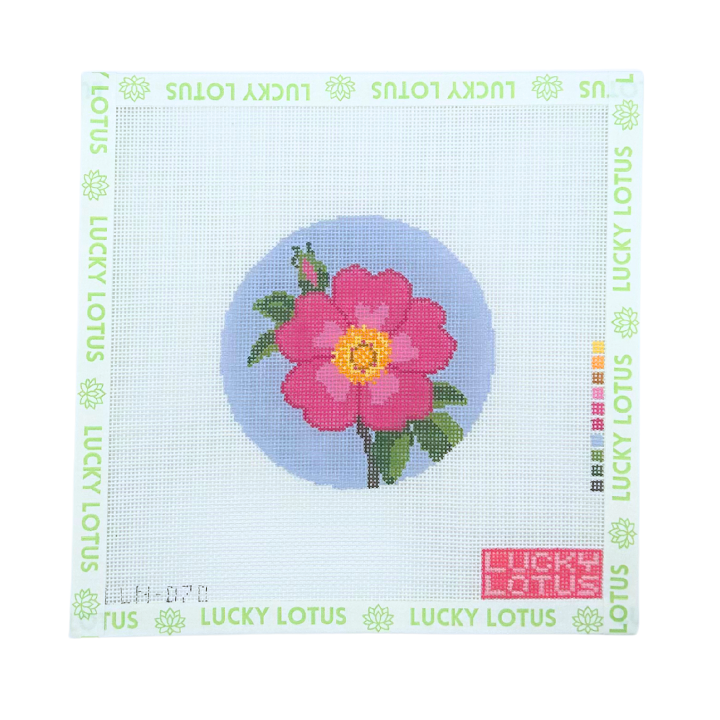 Flowers of America | Wild Prairie Rose (Iowa & North Dakota)