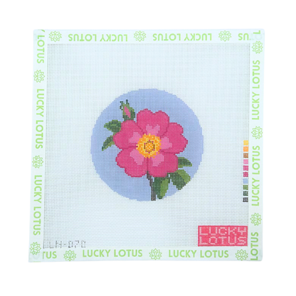 Flowers of America | Wild Prairie Rose (Iowa & North Dakota)