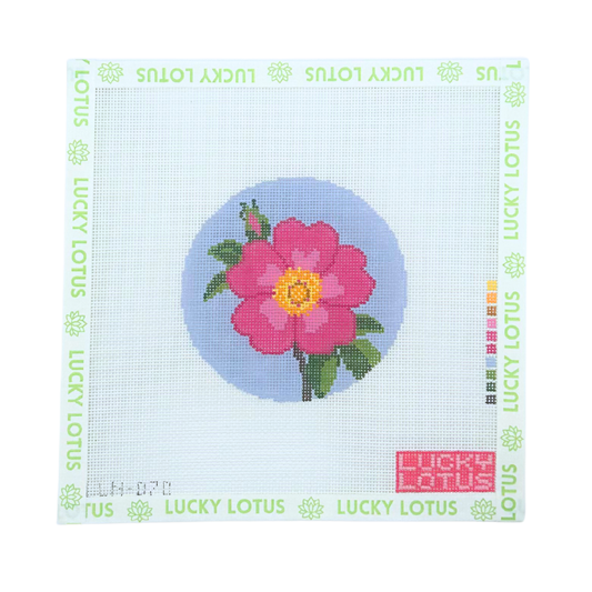 Flowers of America | Wild Prairie Rose (Iowa & North Dakota)