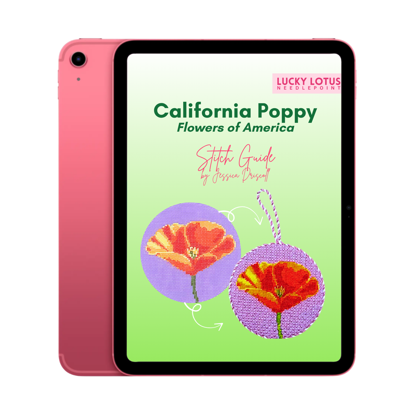 California Poppy Flower Needlepoint Stitch Guide by Jessica Driscoll - Digital Download